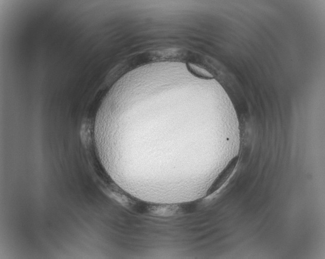 X0000074330191200609230102