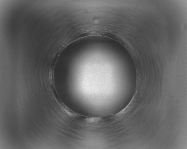 X0000074330192200609230102