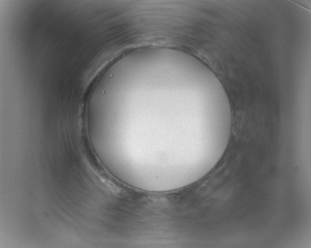 X0000074330194200609230101