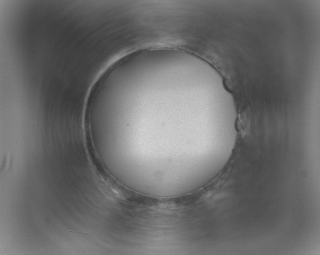 X0000074330196200609230101