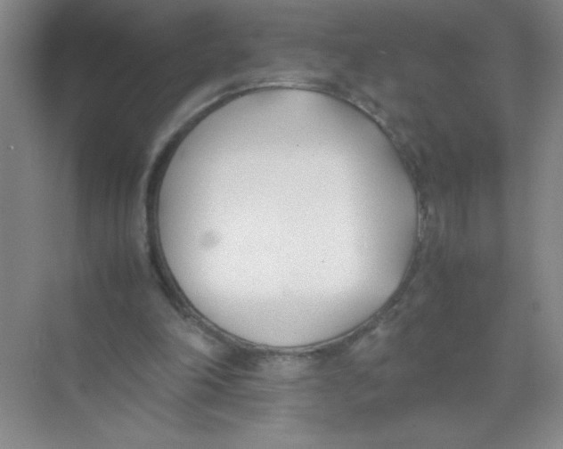 X0000074330198200609230101