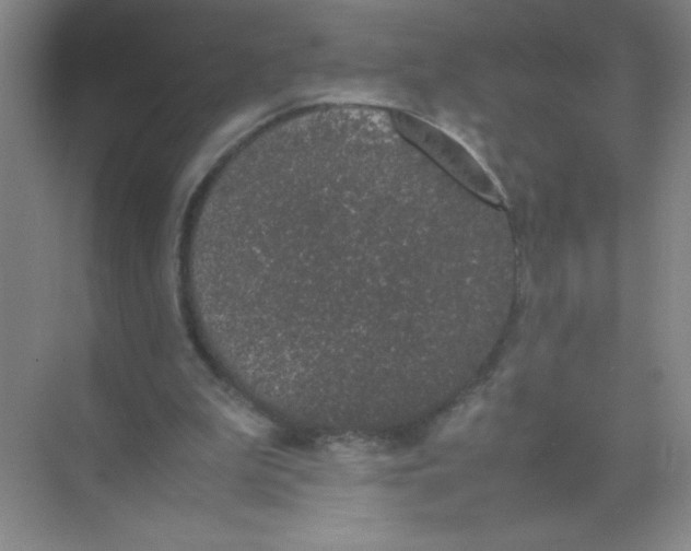 X0000074330199200609230101