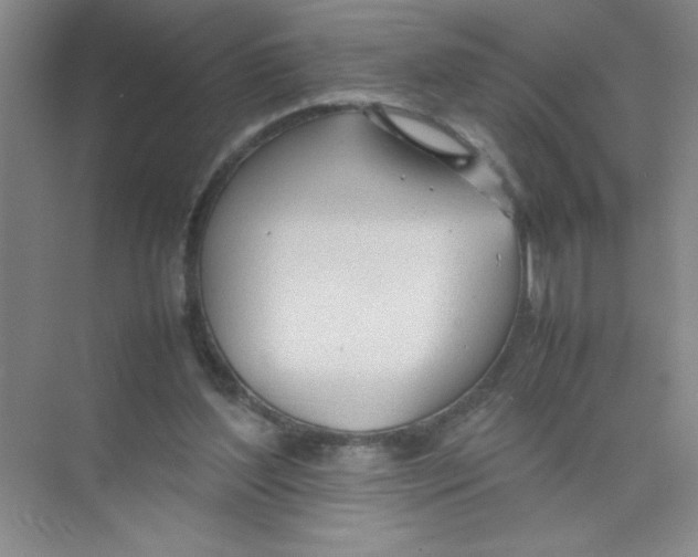 X0000074330204200609230101