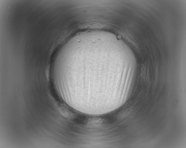 X0000074330206200609230101