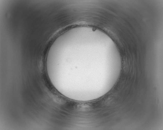 X0000074330208200609230101