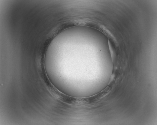 X0000074330209200609230101