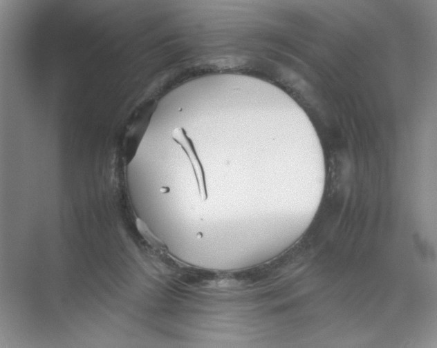 X0000074330212200609230101