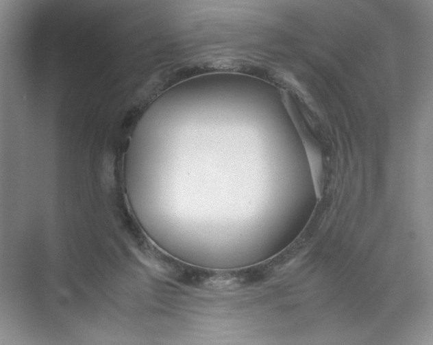 X0000074330213200609230101