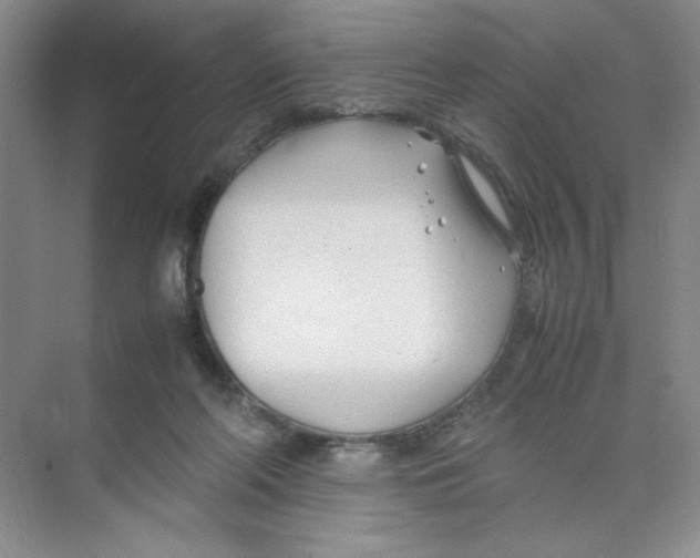 X0000074330214200609230101