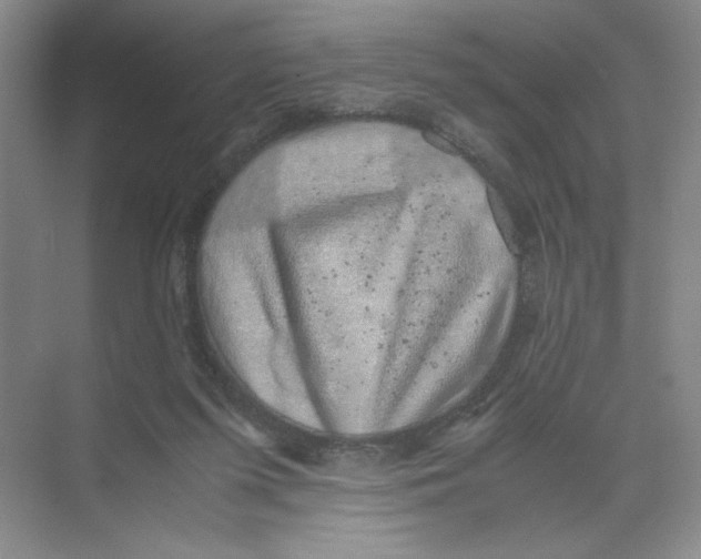 X0000074330215200609230101