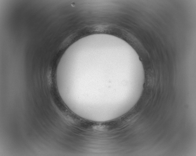 X0000074330216200609230101