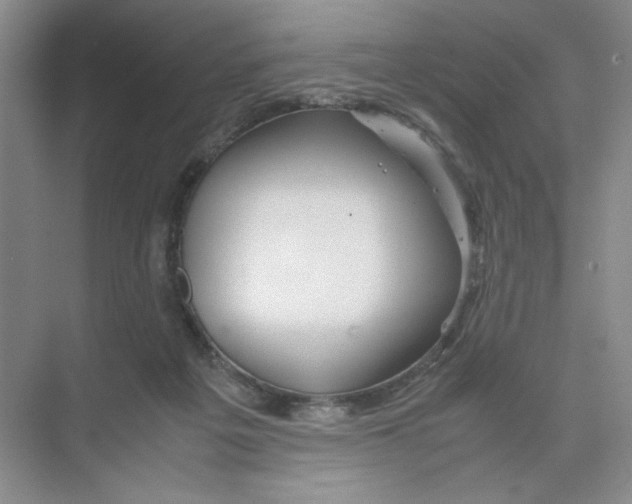 X0000074330217200609230101