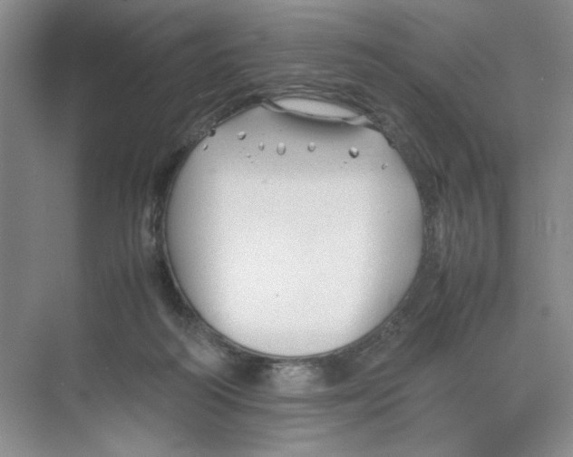 X0000074330218200609230101