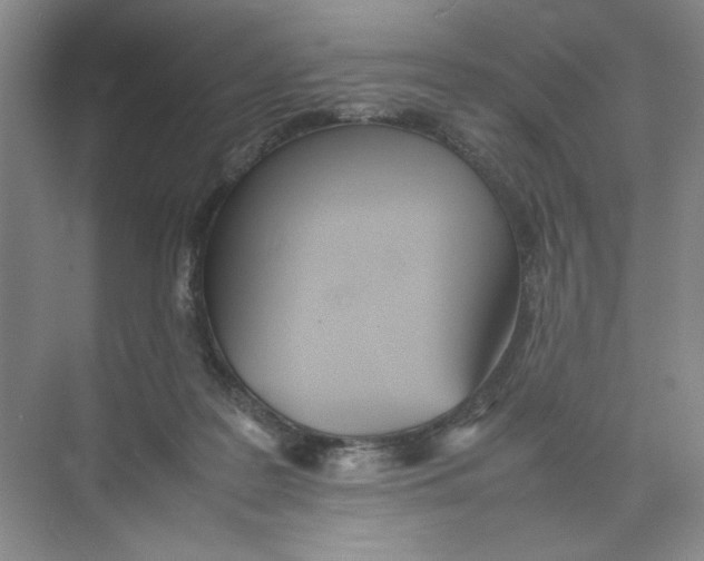 X0000074330219200609230101