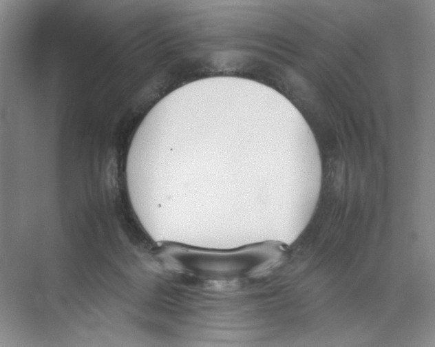 X0000074330220200609230100