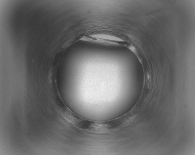 X0000074330221200609230100