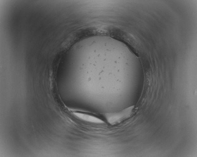 X0000074330223200609230100