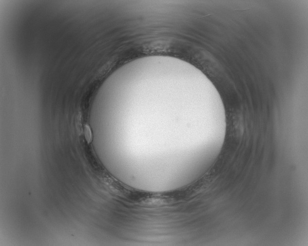 X0000074330224200609230100