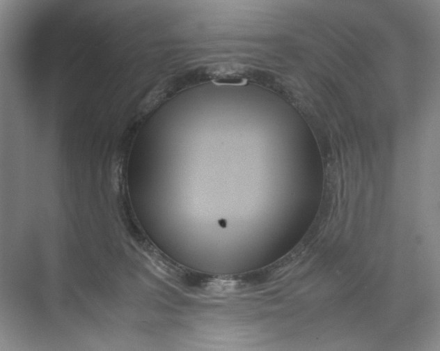 X0000074330227200609230100