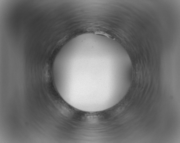 X0000074330228200609230100