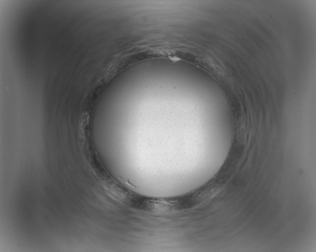 X0000074330229200609230100