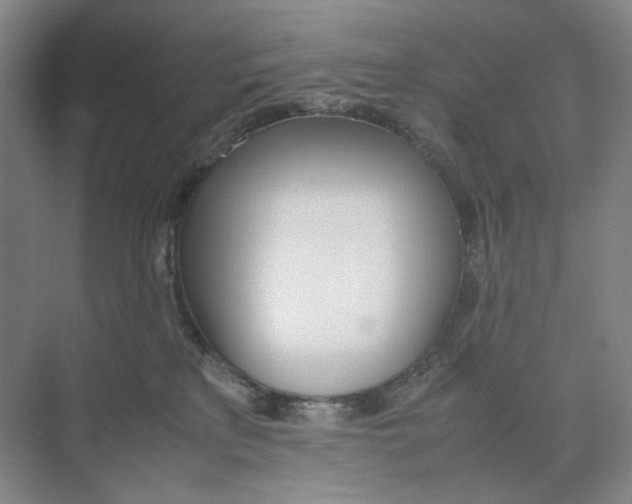 X0000074330233200609230100