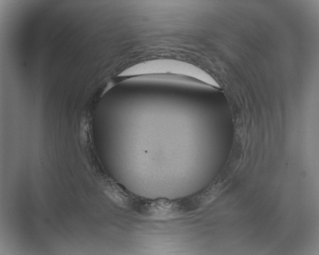 X0000074330235200609230100