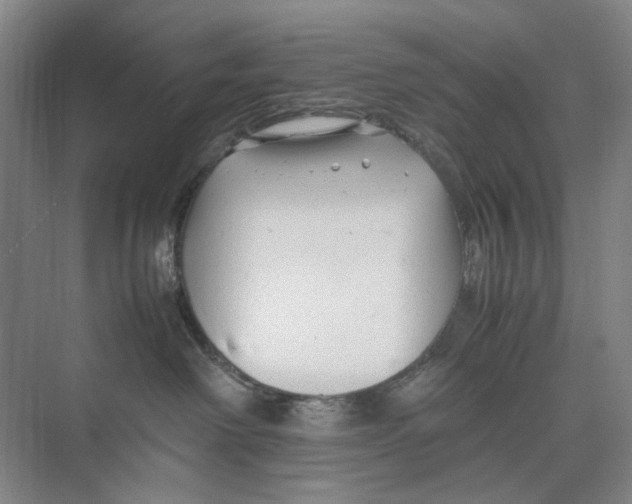 X0000074330238200609230100