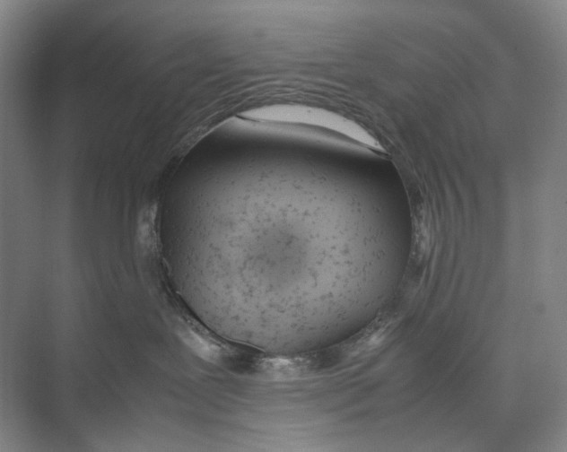 X0000074330239200609230100