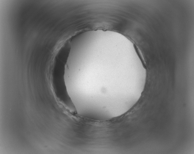 X0000074330241200609230059