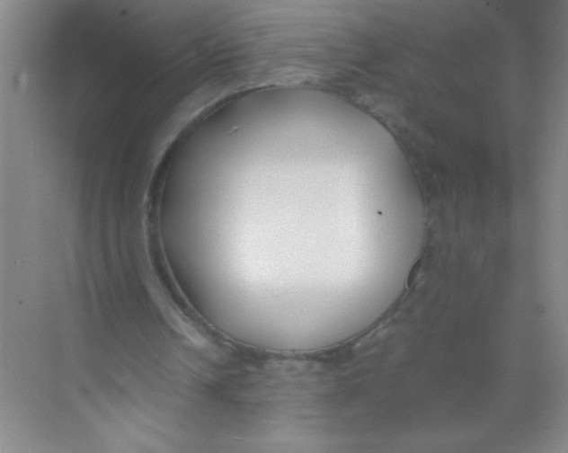 X0000074330242200609230059