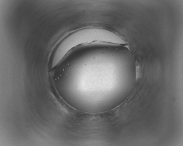 X0000074330243200609230059