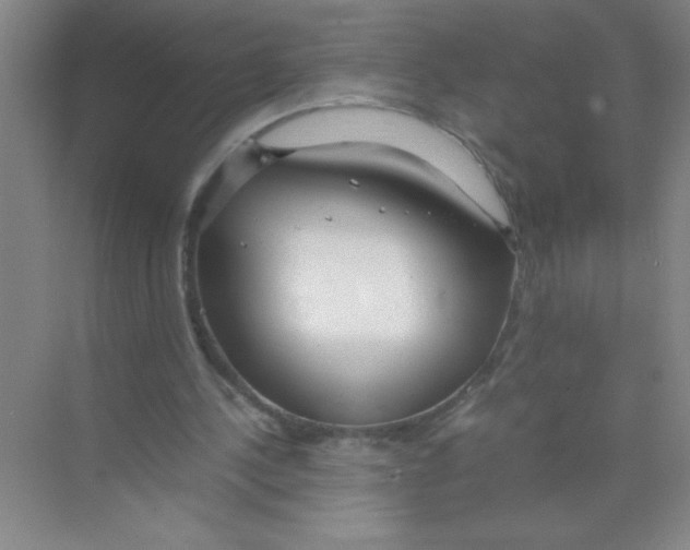 X0000074330244200609230059