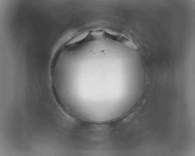 X0000074330245200609230059