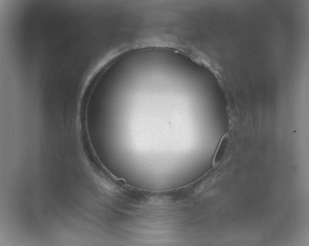 X0000074330248200609230059