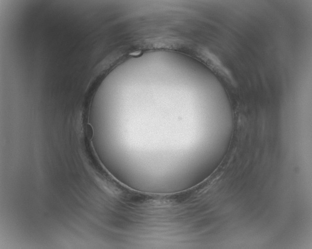 X0000074330250200609230059