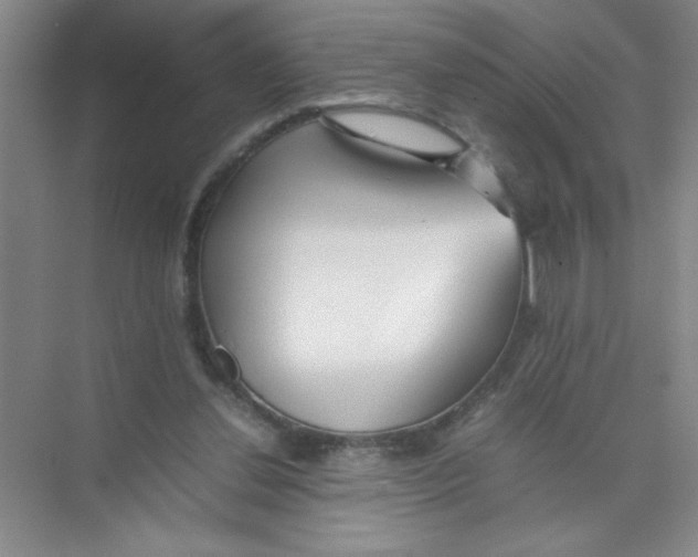 X0000074330252200609230100