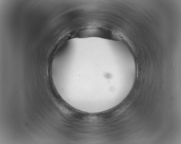 X0000074330253200609230100