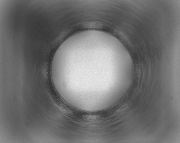 X0000074330255200609230100