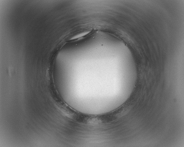 X0000074330258200609230100