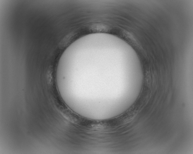 X0000074330259200609230100