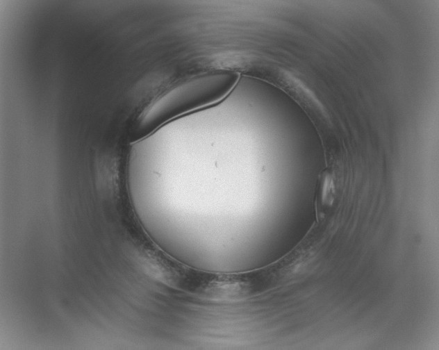 X0000074330260200609230100