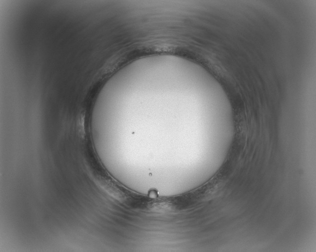 X0000074330262200609230100