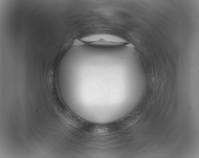 X0000074330263200609230100