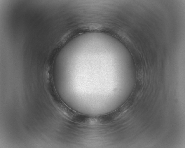 X0000074330264200609230100