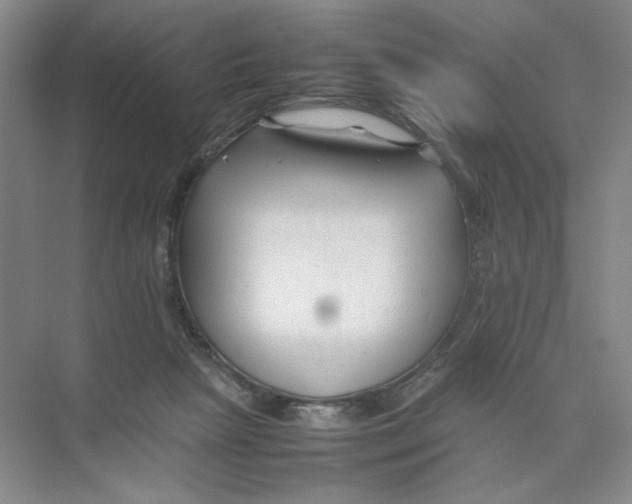 X0000074330265200609230100