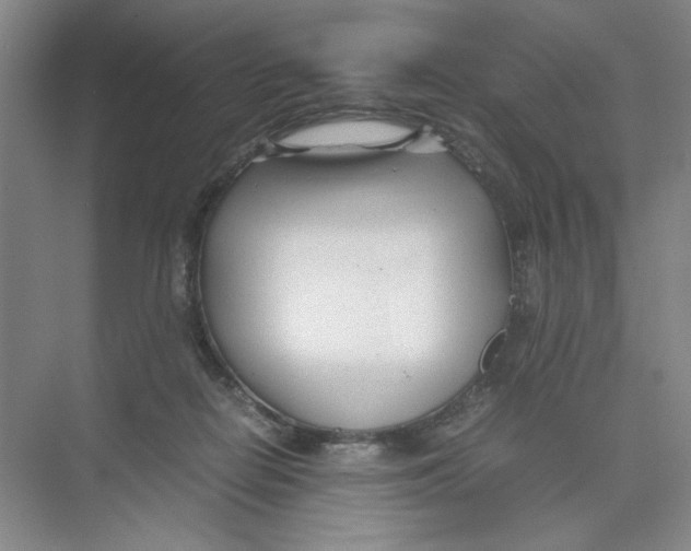 X0000074330266200609230100