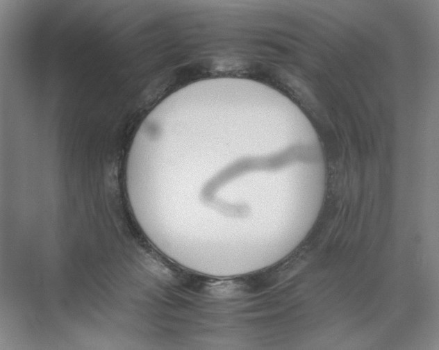 X0000074330269200609230100