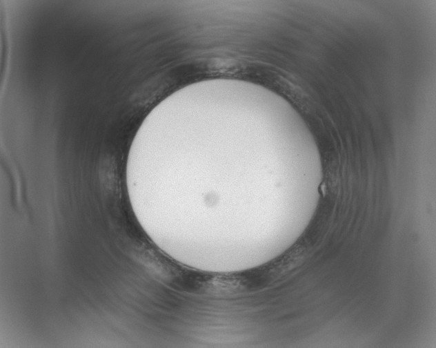 X0000074330270200609230100