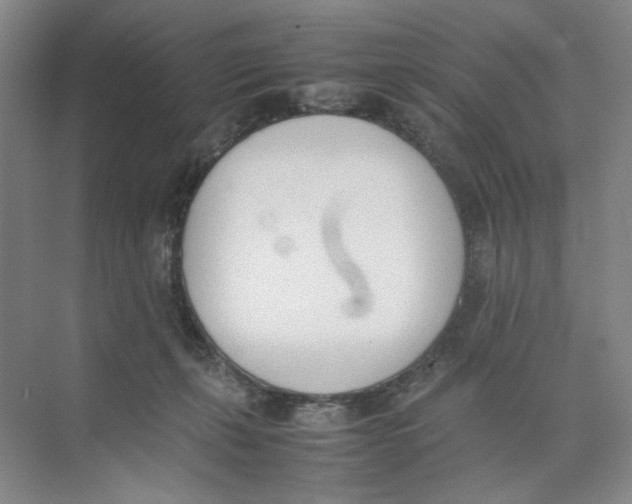 X0000074330271200609230100